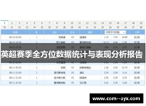 英超赛季全方位数据统计与表现分析报告 英超赛季全方位数据统计与表现分析报告