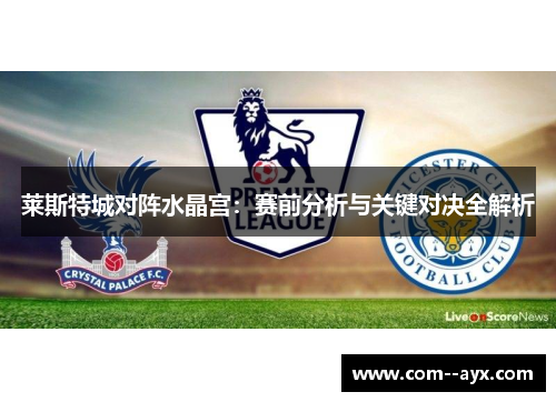 莱斯特城对阵水晶宫：赛前分析与关键对决全解析