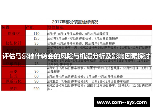 评估马尔穆什转会的风险与机遇分析及影响因素探讨